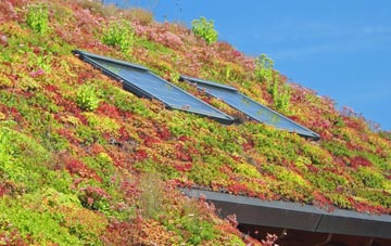 West Crudwell living roof systems