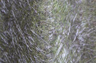 West Crudwell fibreglass roof work